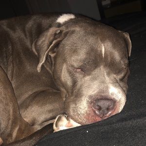 Meet your Posher, Renae